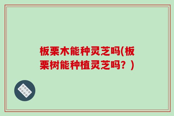 板栗木能种灵芝吗(板栗树能种植灵芝吗?) 板栗木能种灵芝吗(板栗树能种植灵芝吗?)