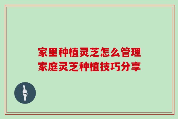 家里种植灵芝怎么管理家庭灵芝种植技巧分享 家里种植灵芝怎么管理家庭灵芝种植技巧分享