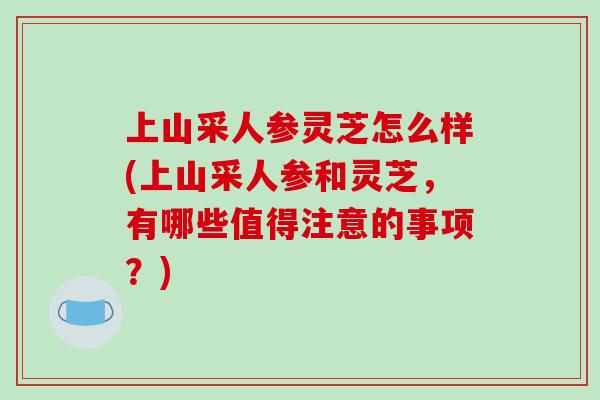 上山采人参灵芝怎么样(上山采人参和灵芝,有哪些值得注意的事项?) 上山采人参灵芝怎么样(上山采人参和灵芝,有哪些值得注意的事项?)