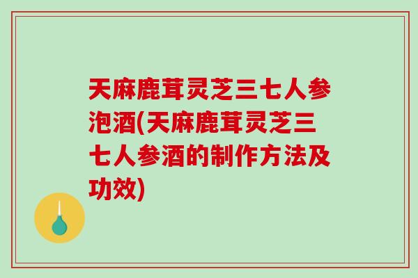 天麻鹿茸灵芝三七人参泡酒(天麻鹿茸灵芝三七人参酒的制作方法及功效)