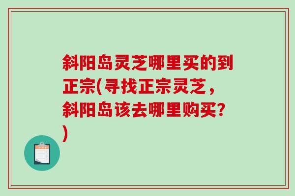 斜阳岛灵芝哪里买的到正宗(寻找正宗灵芝，斜阳岛该去哪里购买？)