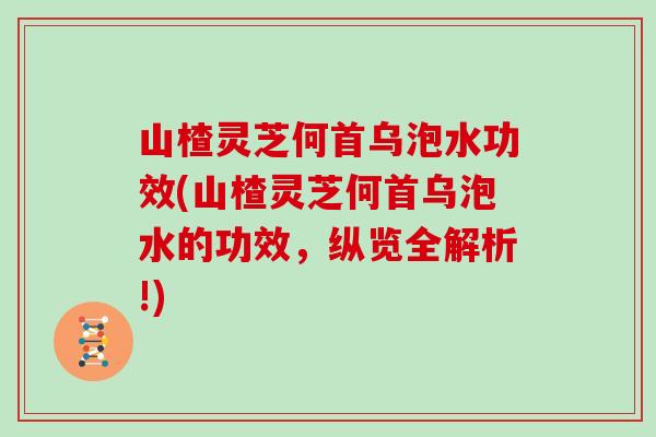山楂灵芝何首乌泡水功效(山楂灵芝何首乌泡水的功效，纵览全解析!)