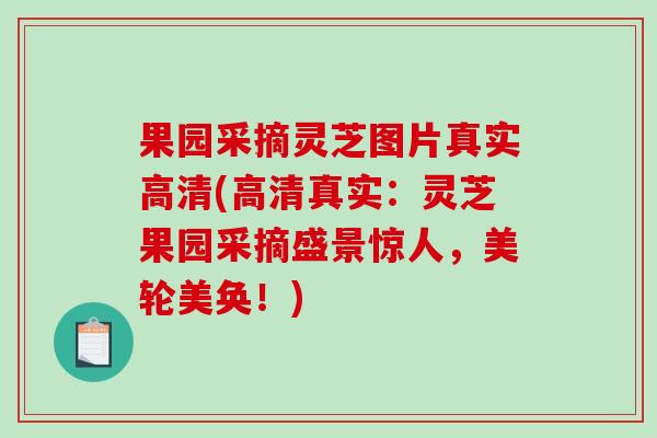 果园采摘灵芝图片真实高清(高清真实：灵芝果园采摘盛景惊人，美轮美奂！)