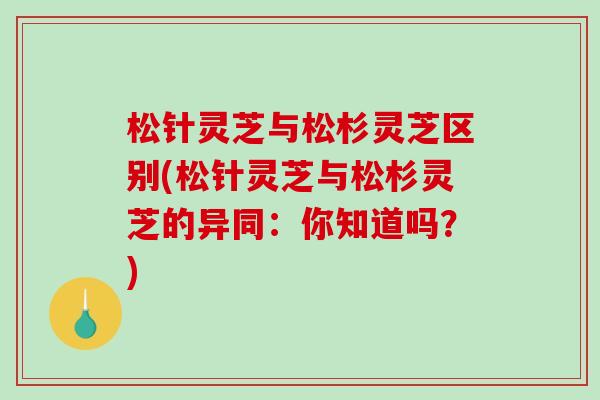 松针灵芝与松杉灵芝区别(松针灵芝与松杉灵芝的异同:你知道吗?) 松针灵芝与松杉灵芝区别(松针灵芝与松杉灵芝的异同:你知道吗?)