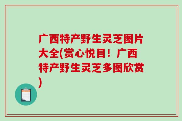 广西特产野生灵芝图片大全(赏心悦目！广西特产野生灵芝多图欣赏)
