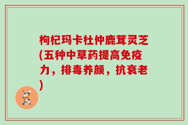 枸杞玛卡杜仲鹿茸灵芝(五种中草药提高免疫力,养颜,抗) 枸杞玛卡杜仲鹿茸灵芝(五种中草药提高免疫力,养颜,抗)