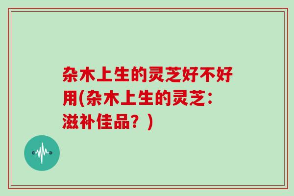 杂木上生的灵芝好不好用(杂木上生的灵芝:滋补佳品?) 杂木上生的灵芝好不好用(杂木上生的灵芝:滋补佳品?)
