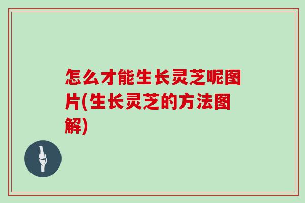 怎么才能生长灵芝呢图片(生长灵芝的方法图解)