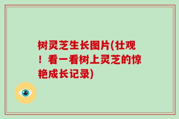 树灵芝生长图片(壮观!看一看树上灵芝的惊艳成长记录) 树灵芝生长图片(壮观!看一看树上灵芝的惊艳成长记录)