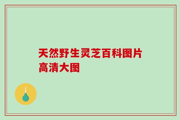 天然野生灵芝百科图片高清大图