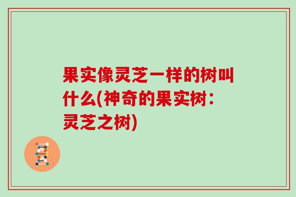 果实像灵芝一样的树叫什么(神奇的果实树:灵芝之树) 果实像灵芝一样的树叫什么(神奇的果实树:灵芝之树)