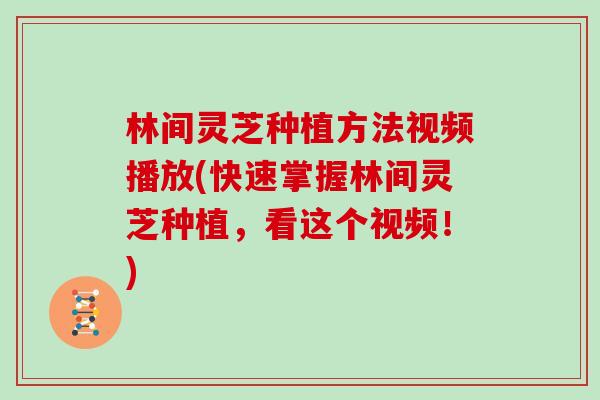 林间灵芝种植方法视频播放(快速掌握林间灵芝种植，看这个视频！)