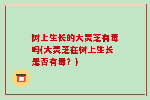 树上生长的大灵芝有毒吗(大灵芝在树上生长是否有毒？)