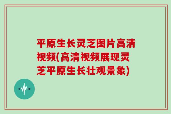 平原生长灵芝图片高清视频(高清视频展现灵芝平原生长壮观景象) 平原生长灵芝图片高清视频(高清视频展现灵芝平原生长壮观景象)