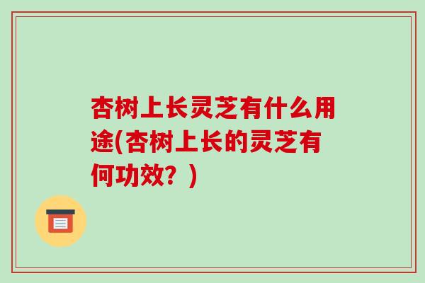 杏树上长灵芝有什么用途(杏树上长的灵芝有何功效？)