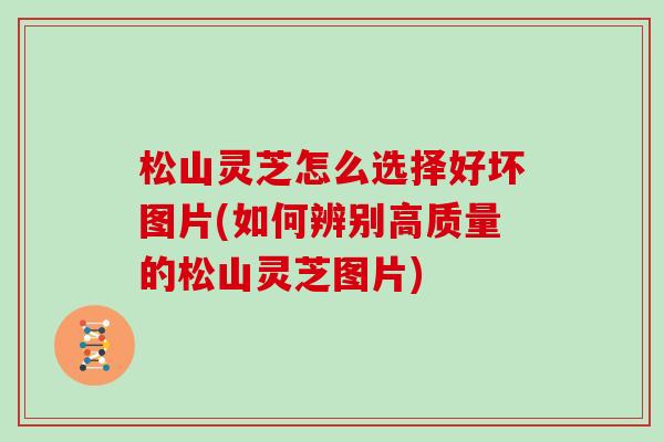 松山灵芝怎么选择好坏图片(如何辨别高质量的松山灵芝图片)