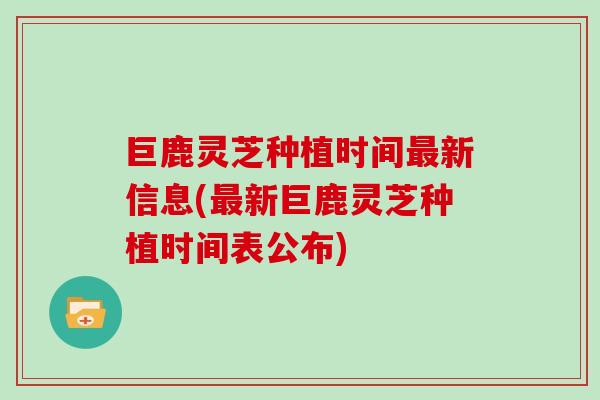 巨鹿灵芝种植时间新信息(新巨鹿灵芝种植时间表公布)