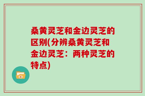 桑黄灵芝和金边灵芝的区别(分辨桑黄灵芝和金边灵芝:两种灵芝的特点) 桑黄灵芝和金边灵芝的区别(分辨桑黄灵芝和金边灵芝:两种灵芝的特点)