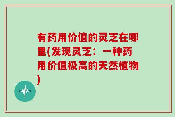 有药用价值的灵芝在哪里(发现灵芝:一种药用价值极高的天然植物) 有药用价值的灵芝在哪里(发现灵芝:一种药用价值极高的天然植物)