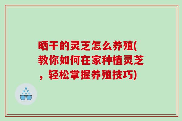 晒干的灵芝怎么养殖(教你如何在家种植灵芝,轻松掌握养殖技巧) 晒干的灵芝怎么养殖(教你如何在家种植灵芝,轻松掌握养殖技巧)