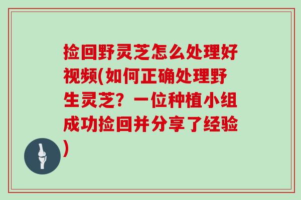 捡回野灵芝怎么处理好视频(如何正确处理野生灵芝？一位种植小组成功捡回并分享了经验)