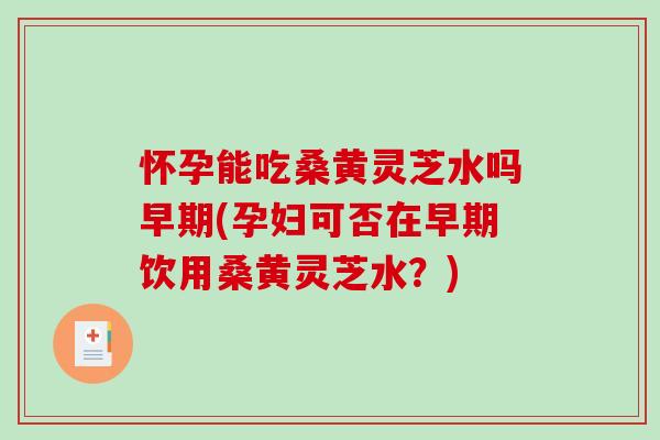 怀孕能吃桑黄灵芝水吗早期(孕妇可否在早期饮用桑黄灵芝水？)