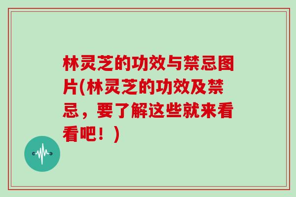 林灵芝的功效与禁忌图片(林灵芝的功效及禁忌，要了解这些就来看看吧！)