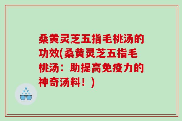 桑黄灵芝五指毛桃汤的功效(桑黄灵芝五指毛桃汤：助提高免疫力的神奇汤料！)