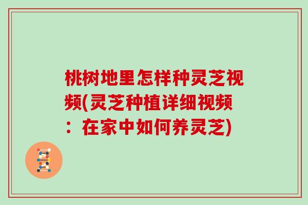 桃树地里怎样种灵芝视频(灵芝种植详细视频：在家中如何养灵芝)