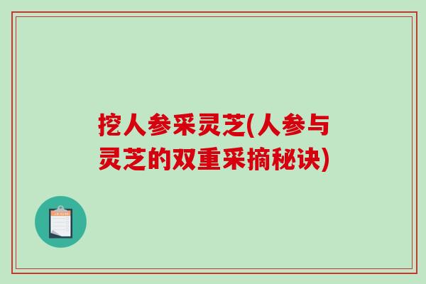 挖人参采灵芝(人参与灵芝的双重采摘秘诀)