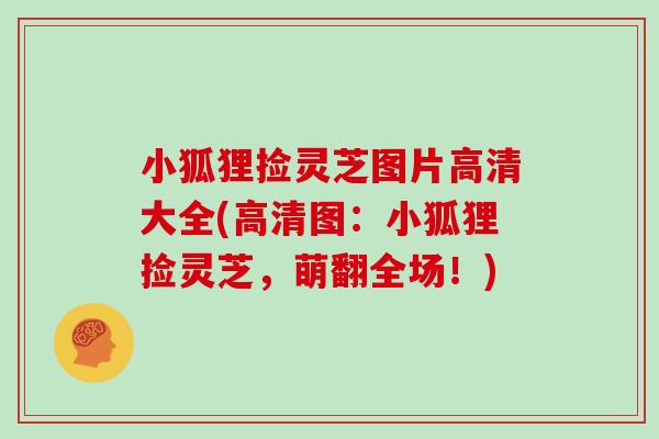 小狐狸捡灵芝图片高清大全(高清图:小狐狸捡灵芝,萌翻全场!) 小狐狸捡灵芝图片高清大全(高清图:小狐狸捡灵芝,萌翻全场!)