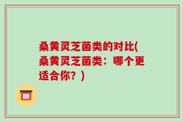 桑黄灵芝菌类的对比(桑黄灵芝菌类：哪个更适合你？)