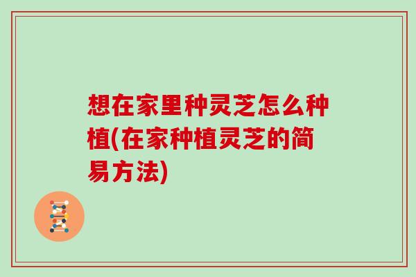 想在家里种灵芝怎么种植(在家种植灵芝的简易方法)