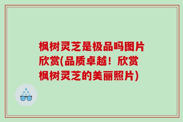 枫树灵芝是极品吗图片欣赏(品质卓越！欣赏枫树灵芝的美丽照片)