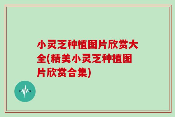 小灵芝种植图片欣赏大全(精美小灵芝种植图片欣赏合集) 小灵芝种植图片欣赏大全(精美小灵芝种植图片欣赏合集)