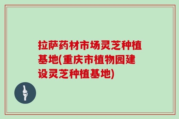 拉萨药材市场灵芝种植基地(重庆市植物园建设灵芝种植基地) 拉萨药材市场灵芝种植基地(重庆市植物园建设灵芝种植基地)