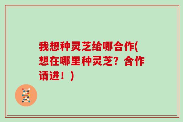 我想种灵芝给哪合作(想在哪里种灵芝？合作请进！)