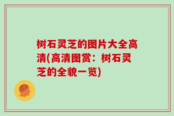 树石灵芝的图片大全高清(高清图赏：树石灵芝的全貌一览)