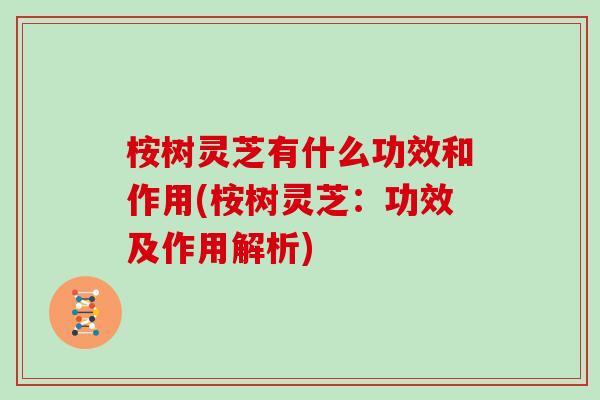 桉树灵芝有什么功效和作用(桉树灵芝：功效及作用解析)