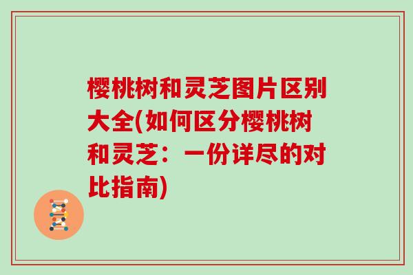 樱桃树和灵芝图片区别大全(如何区分樱桃树和灵芝：一份详尽的对比指南)
