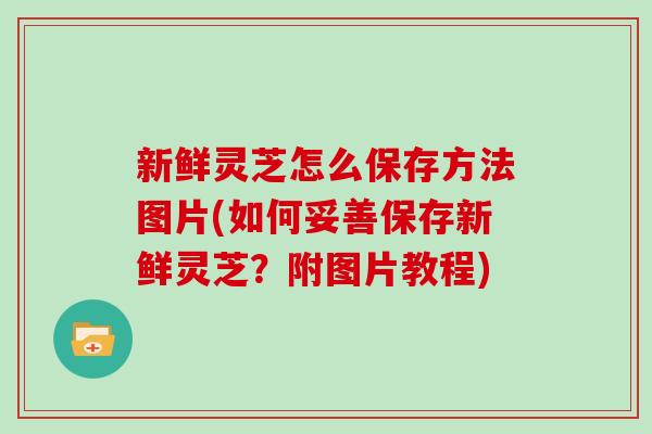 新鲜灵芝怎么保存方法图片(如何妥善保存新鲜灵芝?附图片教程) 新鲜灵芝怎么保存方法图片(如何妥善保存新鲜灵芝?附图片教程)