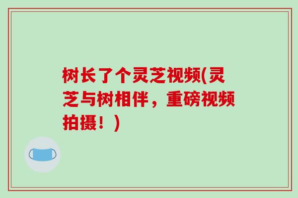 树长了个灵芝视频(灵芝与树相伴，重磅视频拍摄！)
