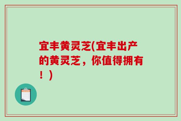 宜丰黄灵芝(宜丰出产的黄灵芝，你值得拥有！)