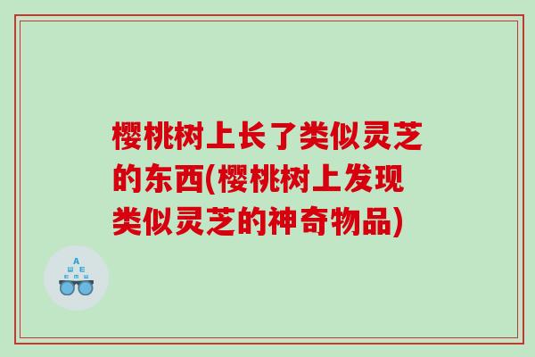 樱桃树上长了类似灵芝的东西(樱桃树上发现类似灵芝的神奇物品) 樱桃树上长了类似灵芝的东西(樱桃树上发现类似灵芝的神奇物品)