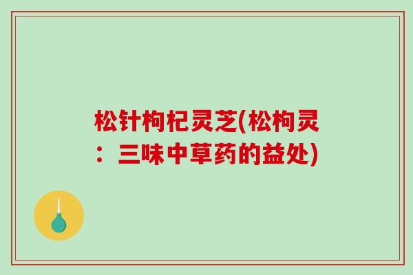 松针枸杞灵芝(松枸灵:三味中草药的益处) 松针枸杞灵芝(松枸灵:三味中草药的益处)