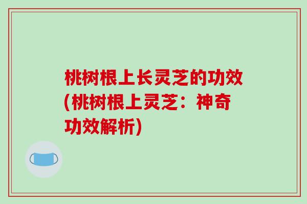 桃树根上长灵芝的功效(桃树根上灵芝:神奇功效解析) 桃树根上长灵芝的功效(桃树根上灵芝:神奇功效解析)