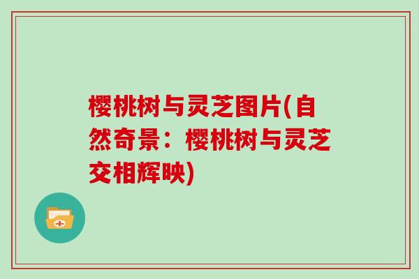 樱桃树与灵芝图片(自然奇景：樱桃树与灵芝交相辉映)