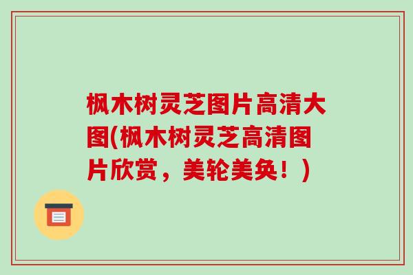 枫木树灵芝图片高清大图(枫木树灵芝高清图片欣赏，美轮美奂！)
