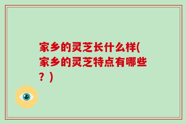 家乡的灵芝长什么样(家乡的灵芝特点有哪些？)