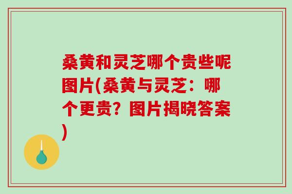 桑黄和灵芝哪个贵些呢图片(桑黄与灵芝：哪个更贵？图片揭晓答案)